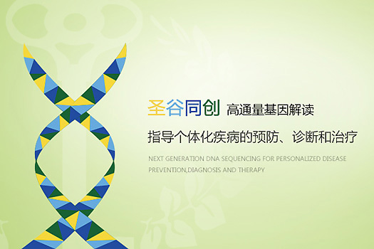 圣谷同創(chuàng)