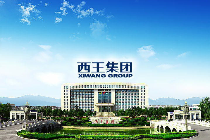 西王集團(tuán)
