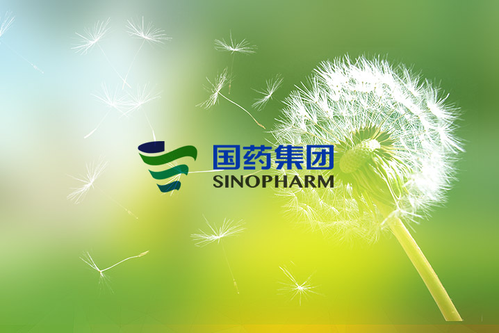 中國醫(yī)療器械集團(tuán)